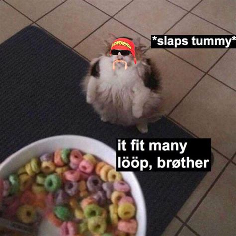 froot loop meme|loops brother meme.